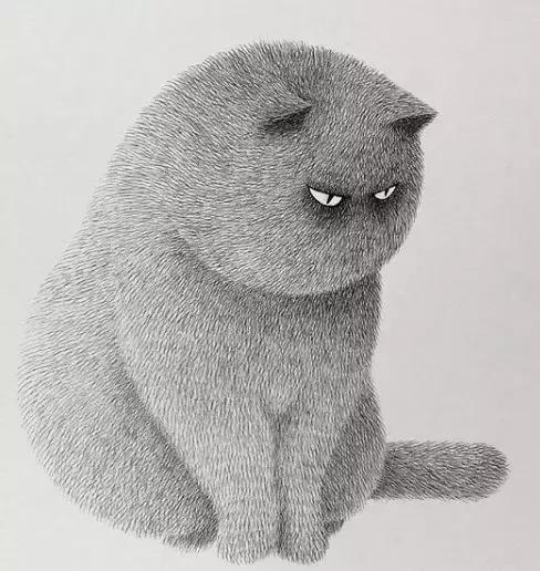 她用2元针管笔作画便惊艳了世界,他用粉笔画了一只猫