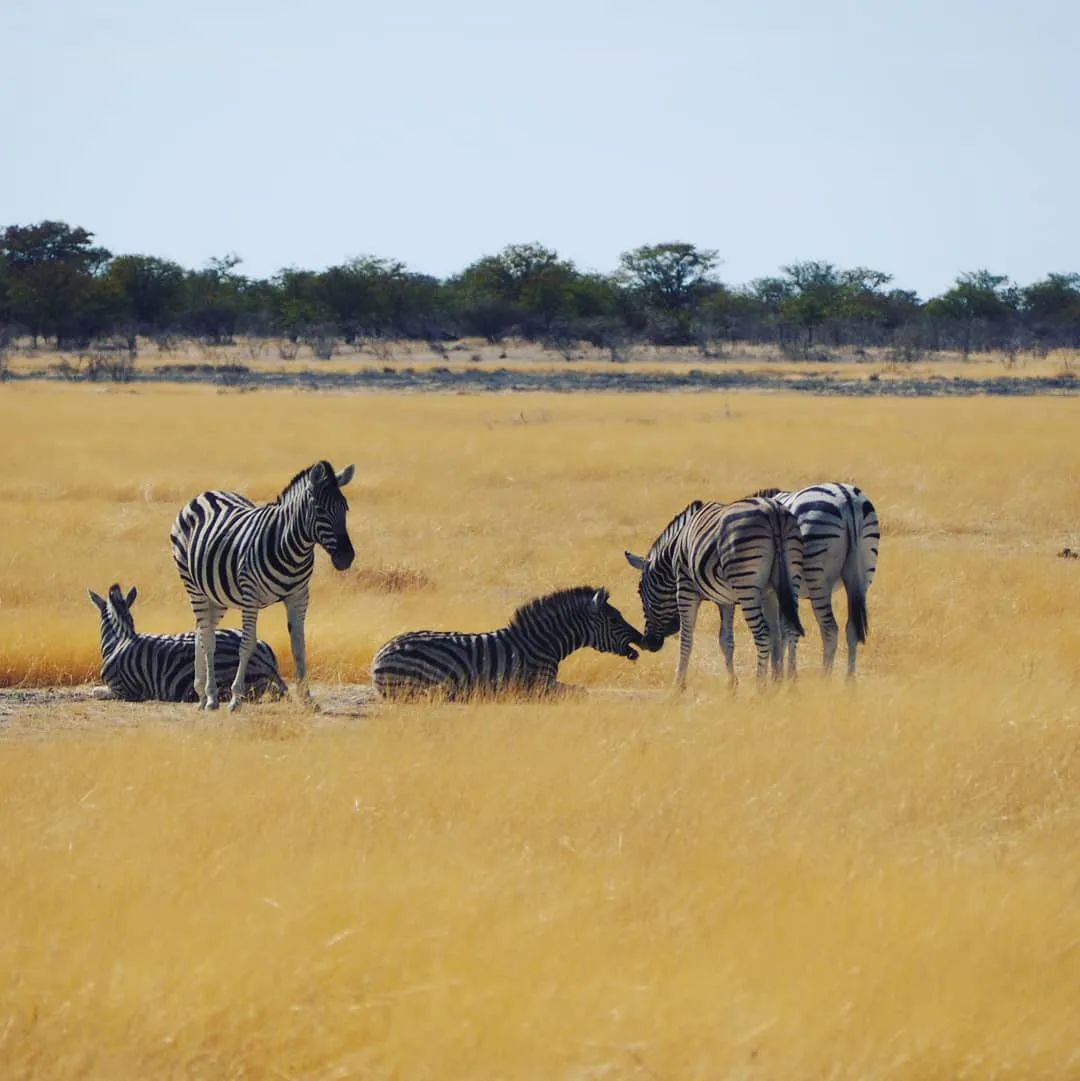 去了这30个地方一生就值得了,此生一定要去的14个地方