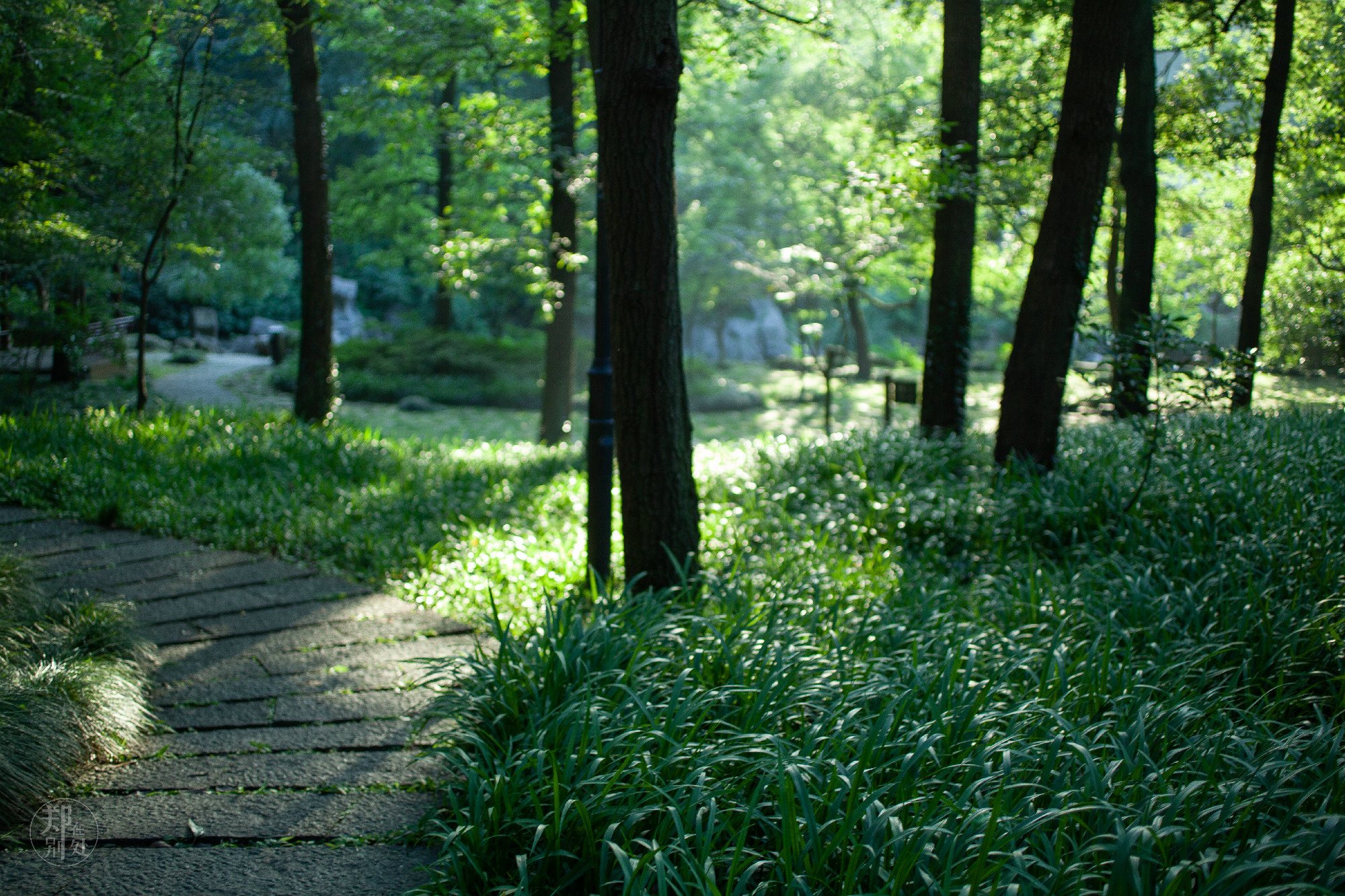 坐公交游杭州几路最好,杭州87路公交沿路风景