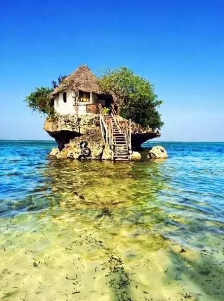 海哥带你游世界｜这周我们去非洲大草原看大西几！