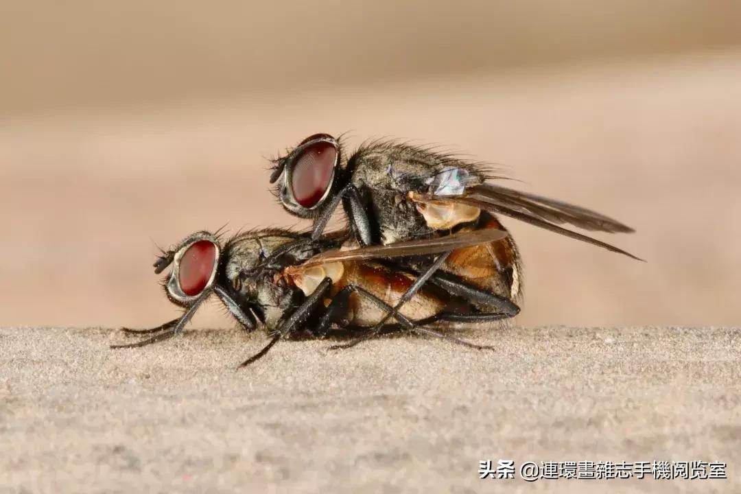 对地球有最大作用的东西,对地球有哪些影响