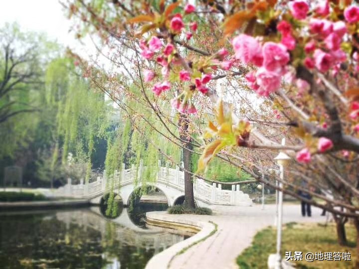 钓鱼台饭店济南,钓鱼台宾馆的北国风光