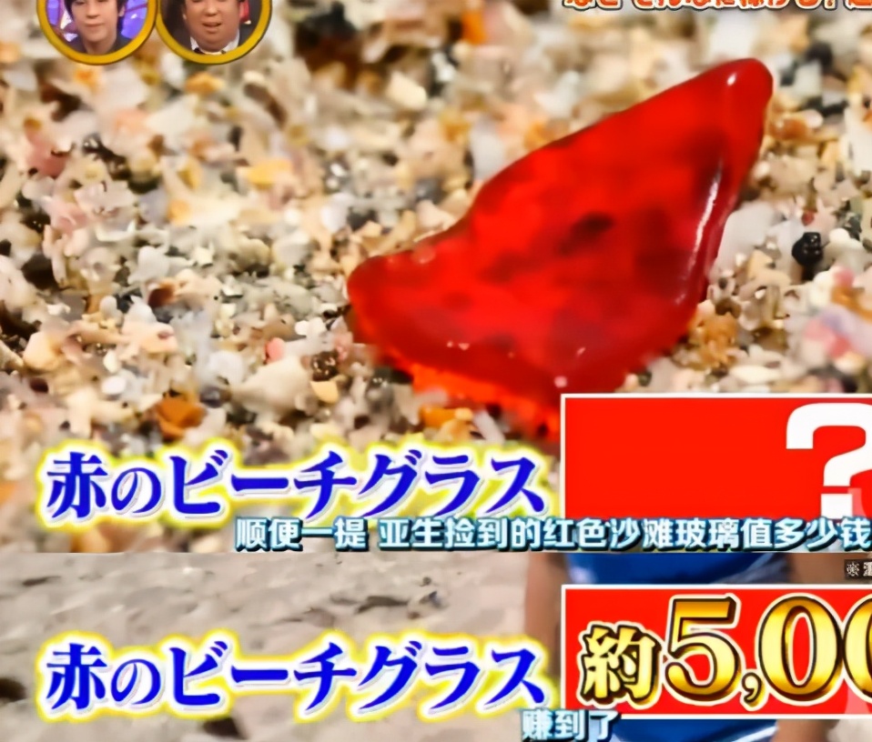 日本主妇攒钱的精致生活,日本主妇的攒钱窍门