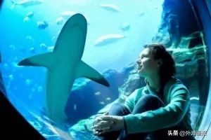 *疆新**首个奢华酒店开业，厦门W也要来了，上海天文馆终于开门迎客