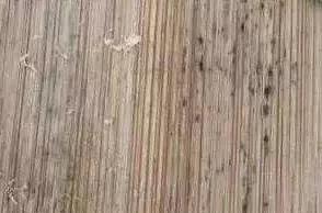 不发霉正宗实木菜板,菜板家用抗菌防霉网红双面菜板