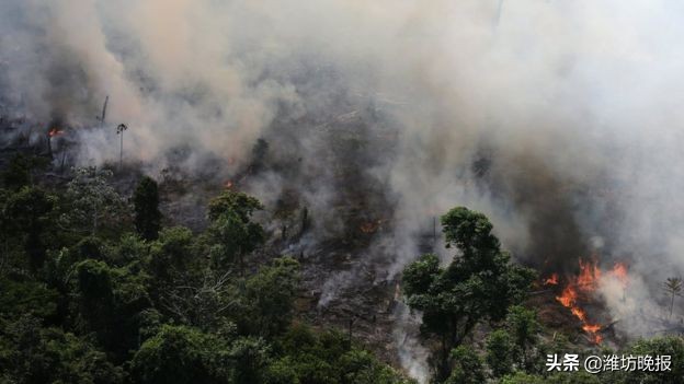 亚马逊热带雨林大火熄灭了吗,亚马逊雨林烧多久