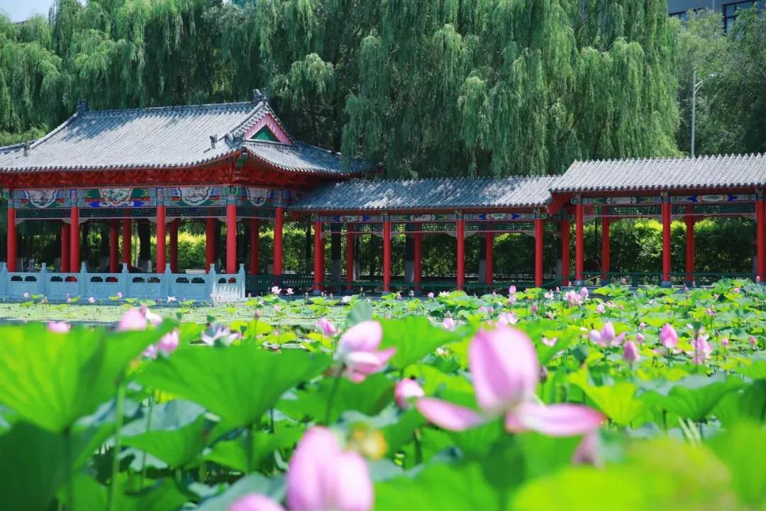 辽宁中医药大学杏林学院有独卫吗,辽宁中医药大学杏林学院属于3+2吗