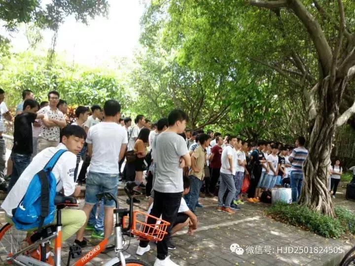 南山区爱普生招聘信息,深圳南山爱普生正式工招聘信息