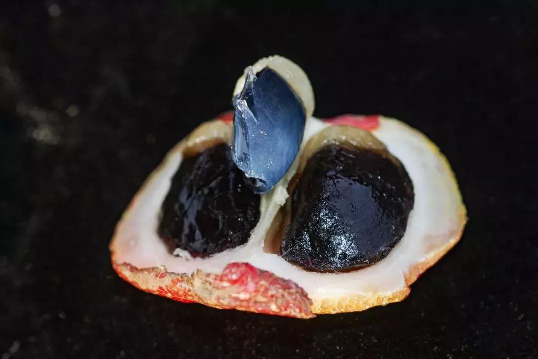 他的工作是厨师的英文,他的工作是什么英文句子