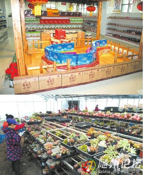 山货“翔舞”满华夏——广水“双创”大潮中的电商力量