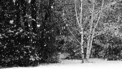 皮鞋穿脏了又有皱纹怎么办,黑皮鞋蹭痕修复小妙招