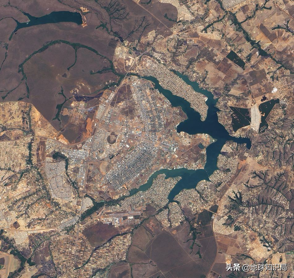 巴西最近有什么事件,巴西发生的有趣事情