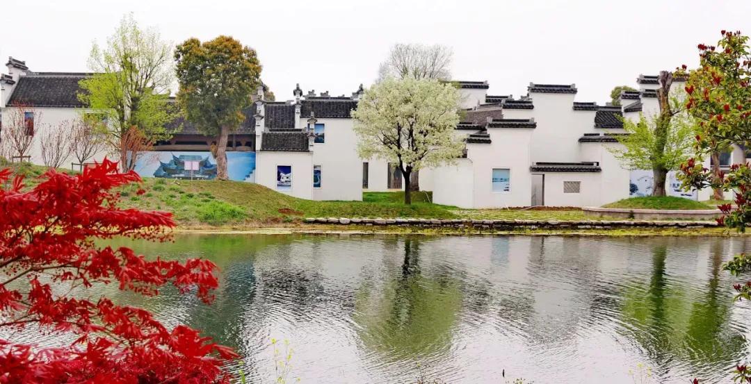 引爆旅游市场！奥体旁将打造蚌埠不夜城！新添古树苑文旅中心