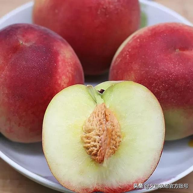 桃子价格暴跌,桃子价格28一斤