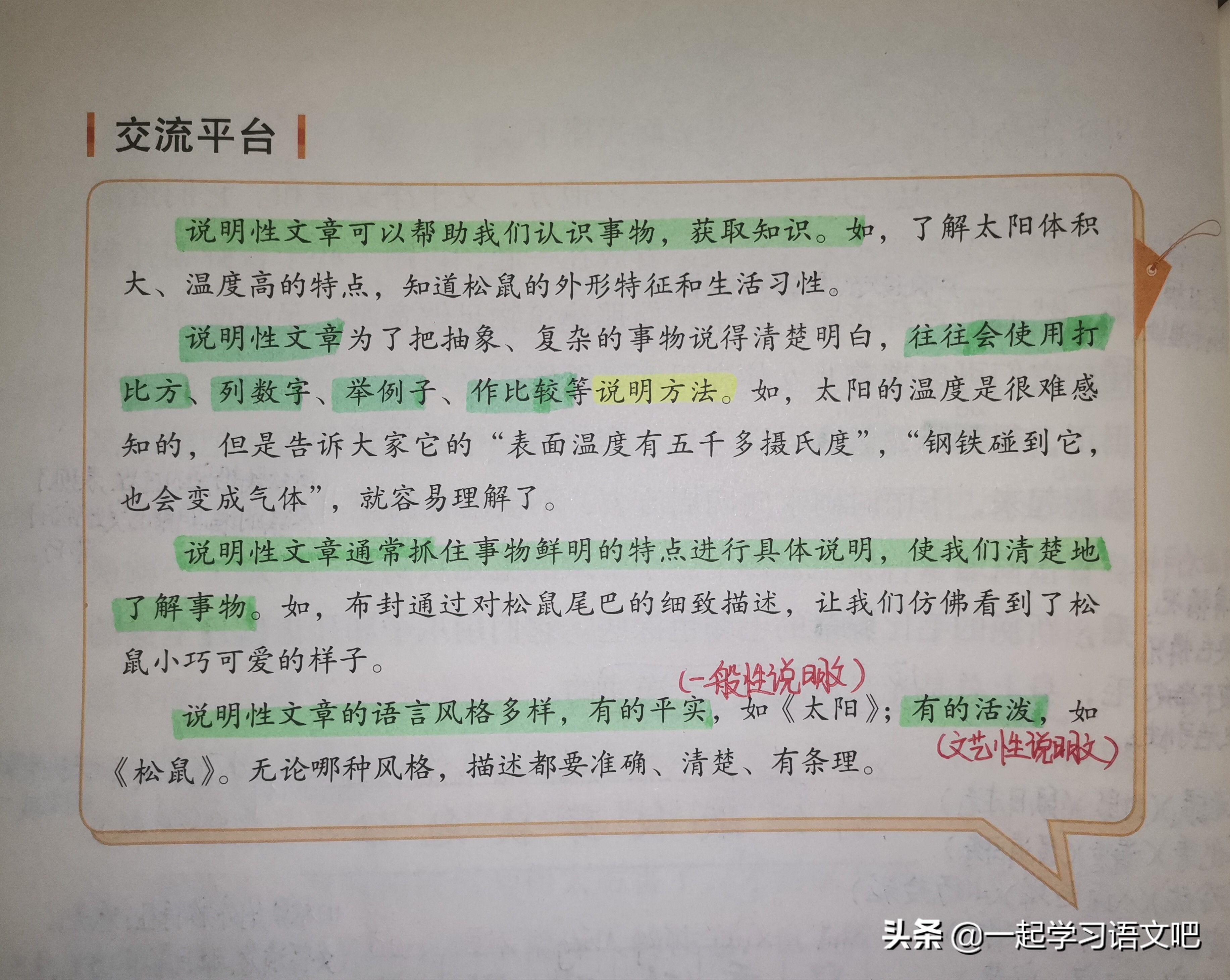 松鼠统编版五年级上册第五单元,五年级课文太阳松鼠阅读练习