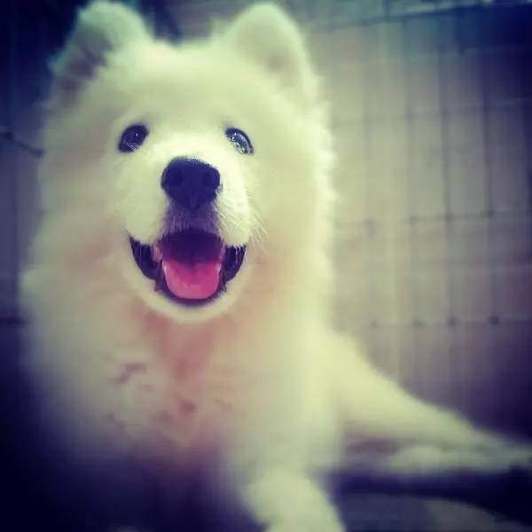 手机拍照入门教程从零开始学摄影,手机人像摄影教程从零开始学摄影