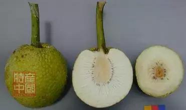 世界稀奇水果品种大全,世界热带奇特水果品种介绍