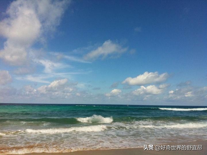 养鱼怎么建立硝化细菌,养鱼的硝化细菌怎么培养怎么维护