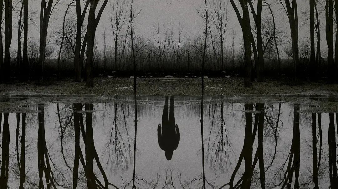 新片速递解说电影推荐,新片速递有哪些