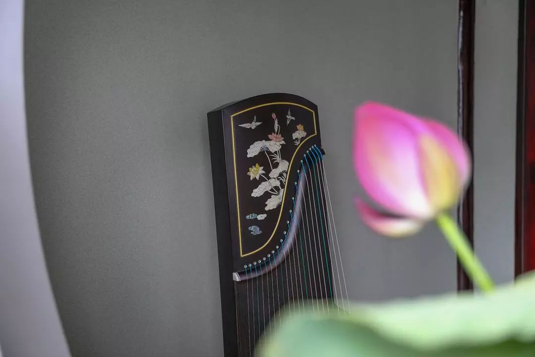 古筝袁莎点奏详细教程,袁莎老师教琵琶