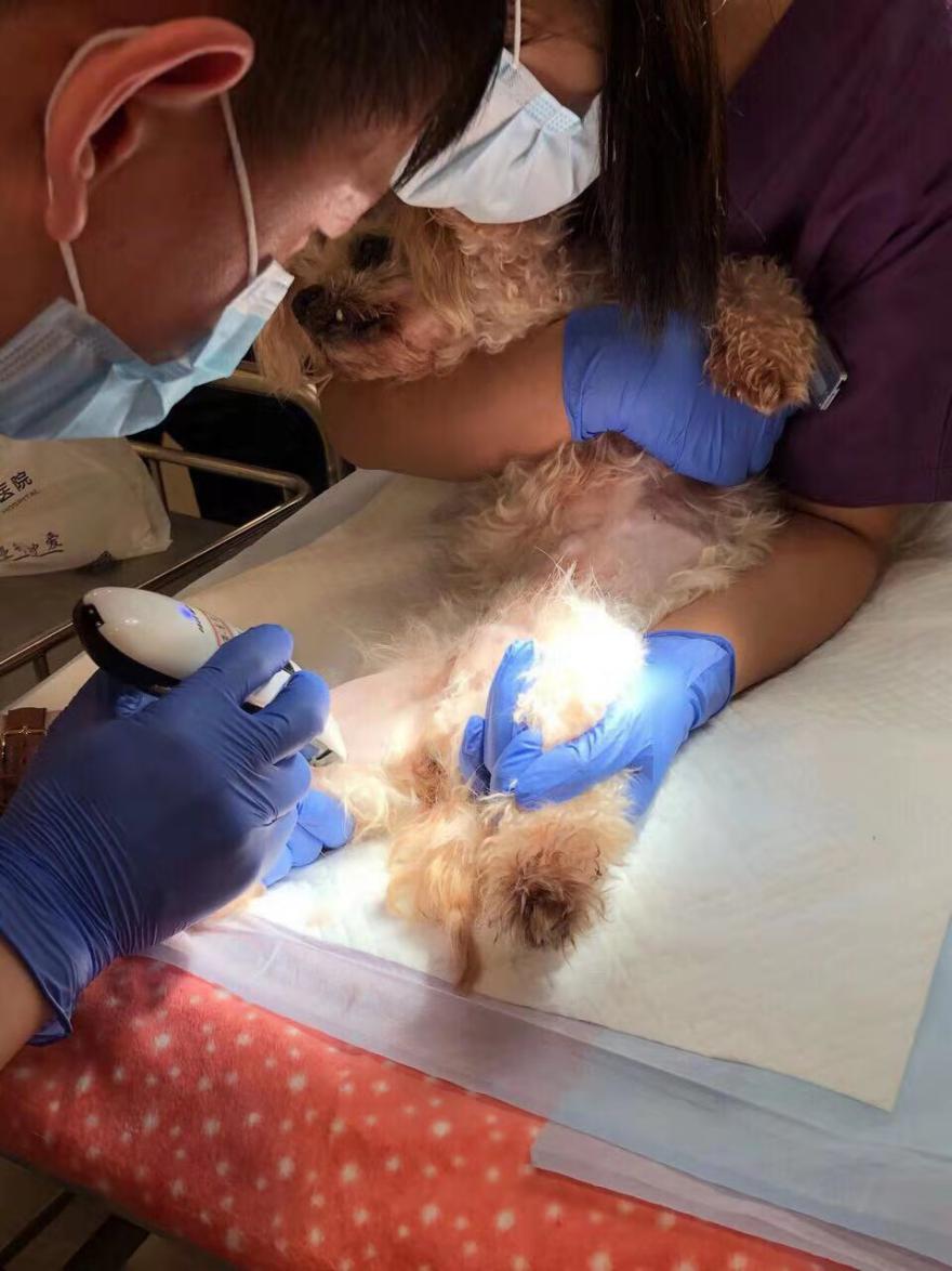 38万可以做什么,38万能做什么