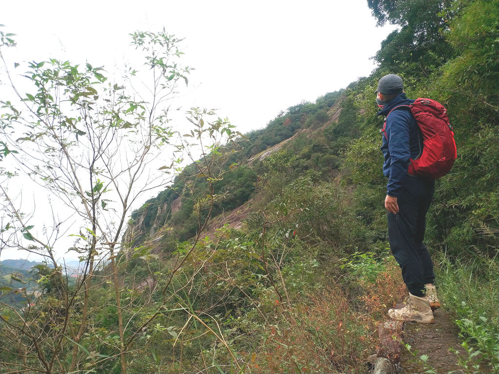 双十一还没开始就要剁手了,双十一开始剁手了吗
