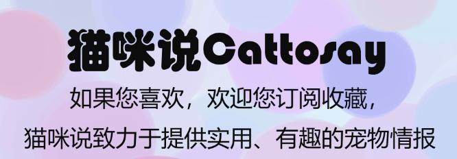 让猫变瘦的6种方法，猫靠节食不一定能瘦，超重15%才算肥胖猫