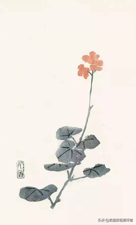 写给鲁迅的先生的一封信,高级的信