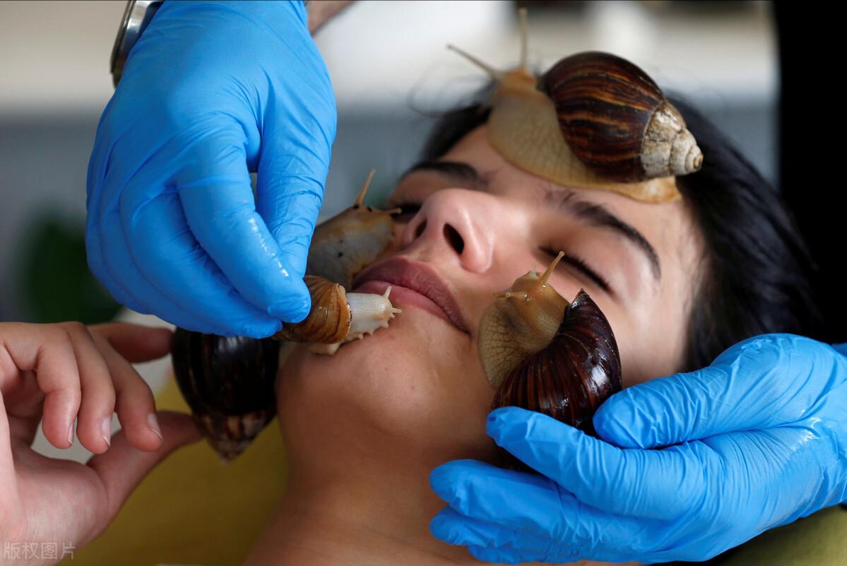 面部保养美容知识,有关面部保养的知识