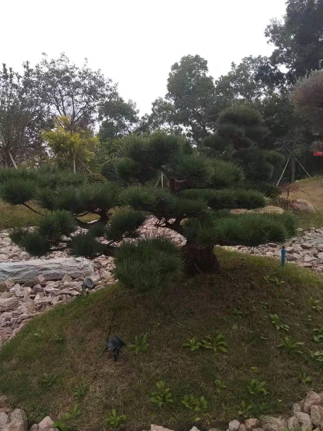 在创业路上遇到的坑,在创业中遇到坑合伙人