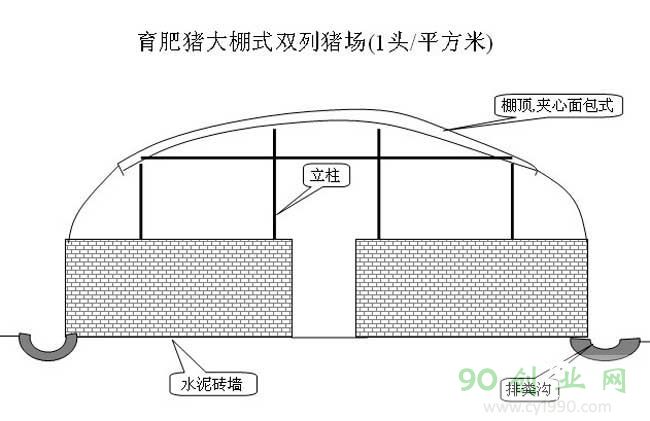 50头小型养猪场整体设计图,建一个小型养猪场需要多少钱