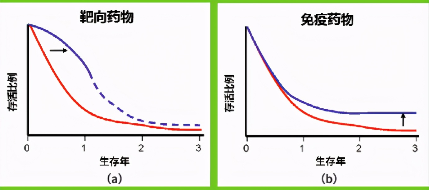 靶向药是治疗癌症新希望,肿瘤免疫治疗和靶向药的区别