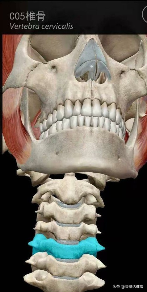 用3D来脊柱体表定位简单多了