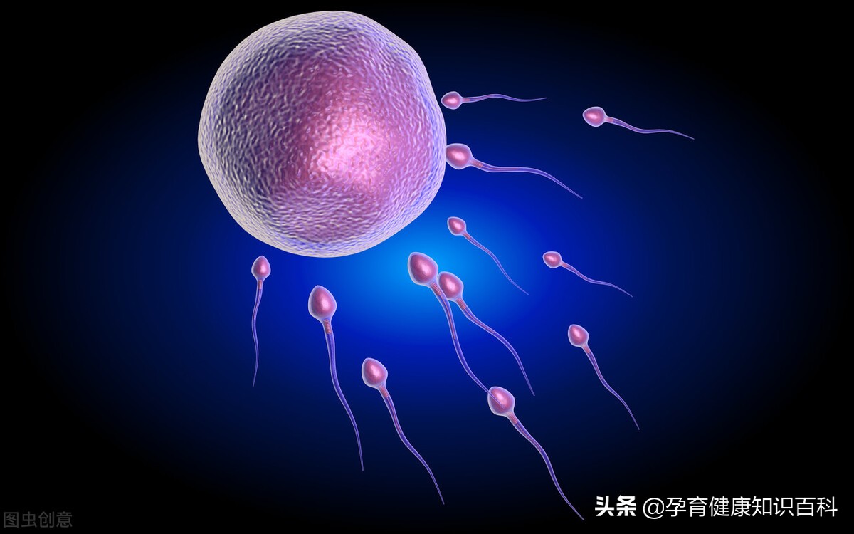 能否怀孕的四个因素,准备怀孕有哪些注意事项