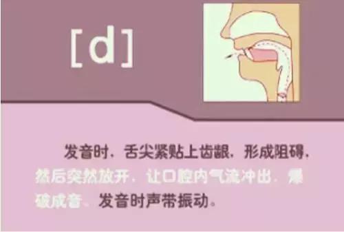 48个英语音标正确读法视频教学,英语48个音标正确发音顺口溜表