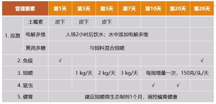 聚焦种源营养与替抗，7位专家分享“科技创新”赋能肉牛羊产业