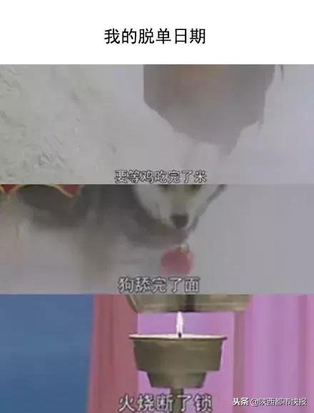 冲鸭表情包动图gif,冲鸭给我冲冲冲表情包