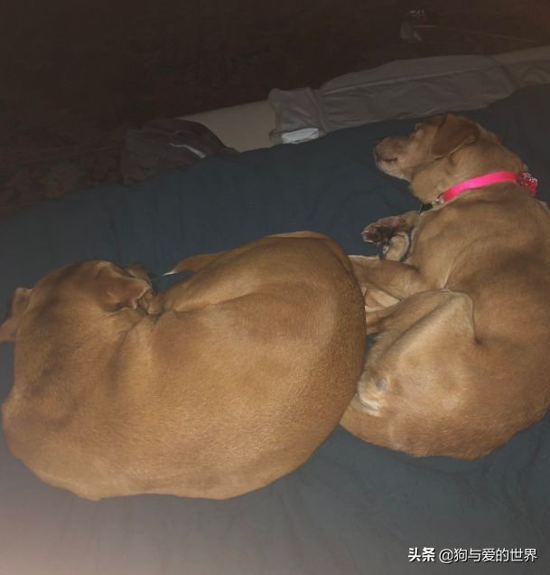 鏅氫笂瀹堕噷杩涗簡涓嶆槑鐢熺墿,鐢峰瓙鍗婂鍥炲閬囦笂涓嶆槑鐢熺墿