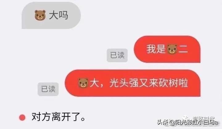 楼下的猫又开始叫了,楼下的猫一直在嗷嗷叫