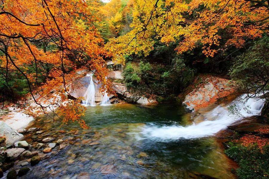 巴中光雾山红叶的最佳时间,红叶谷打卡地