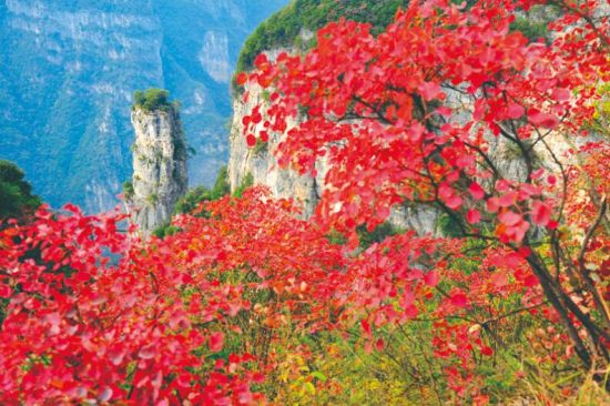 懂得自爱道德经,道德经自爱不自贵全文