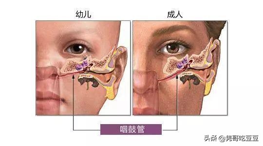 未满月宝宝喂养的正确姿势,未满月婴儿正确的喂母乳姿势