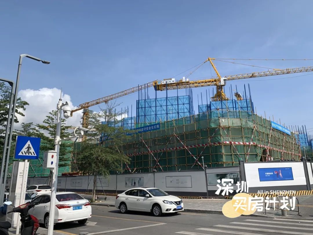 深圳目前值得打新的楼盘,深圳12月打新火爆新盘