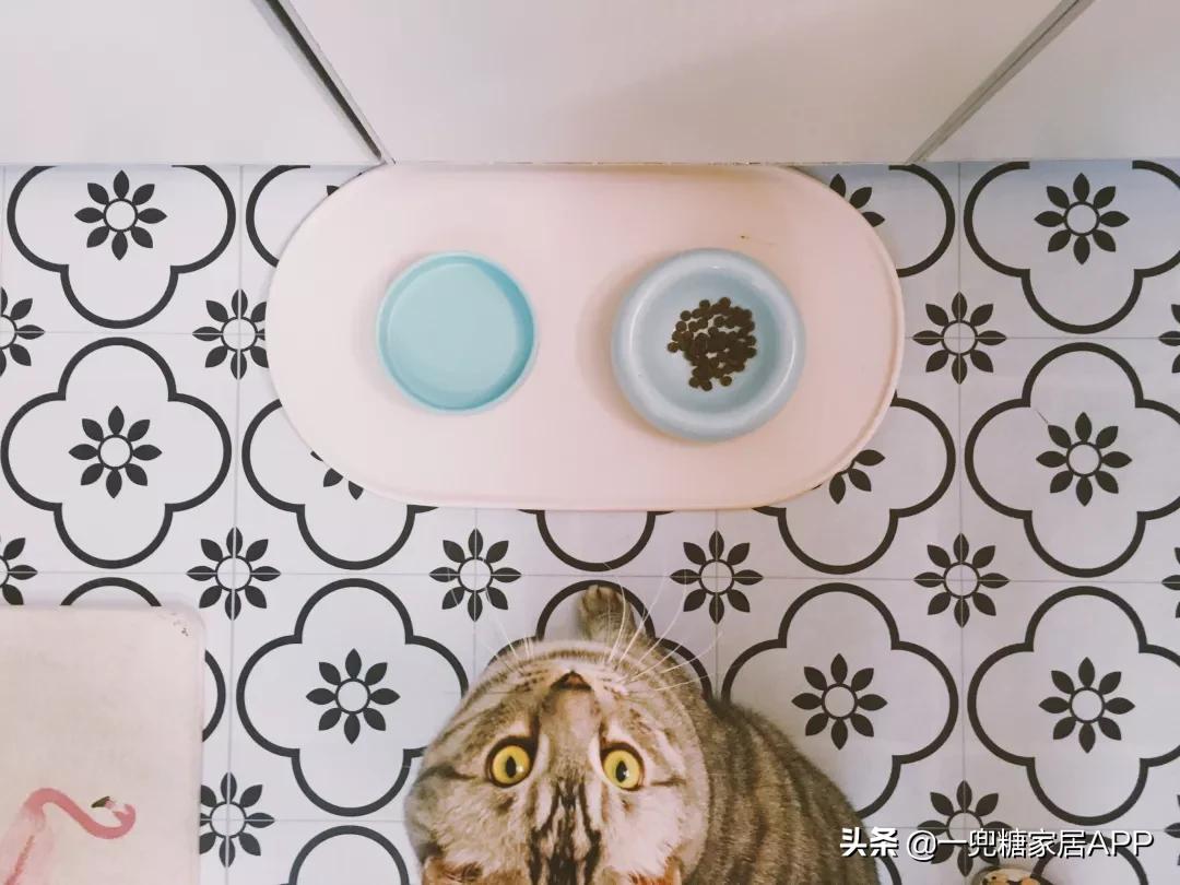 瀹跺眳鏀剁撼濂界墿鎺ㄨ崘鐪侀挶,瀹跺眳鏀剁撼濂界墿鎺ㄨ崘鍓嶅崄