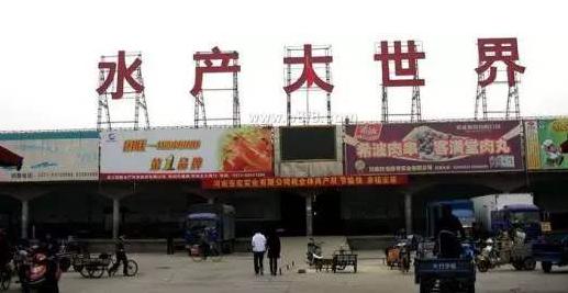 从摆烟摊起步到年销售上百亿，河南“水产教母”杨正芳的传奇人生