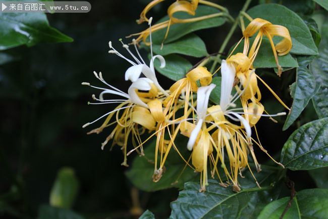 敢不敢玩把大的，把喜欢的人的名字打出来，不用拼音只怼全名