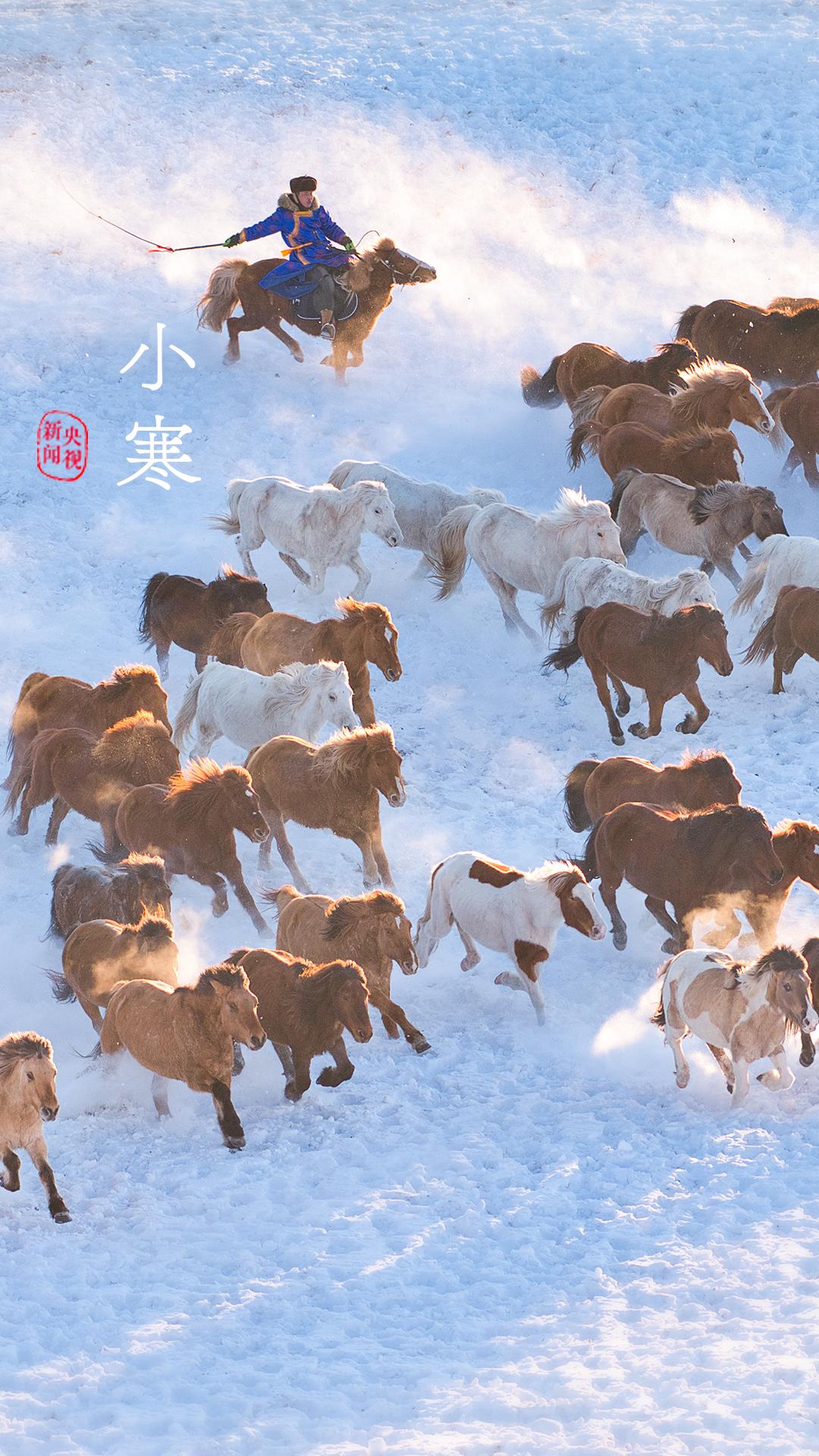 央视珍藏二十四节气手机壁纸,二十四节气壁纸手机超清全面屏