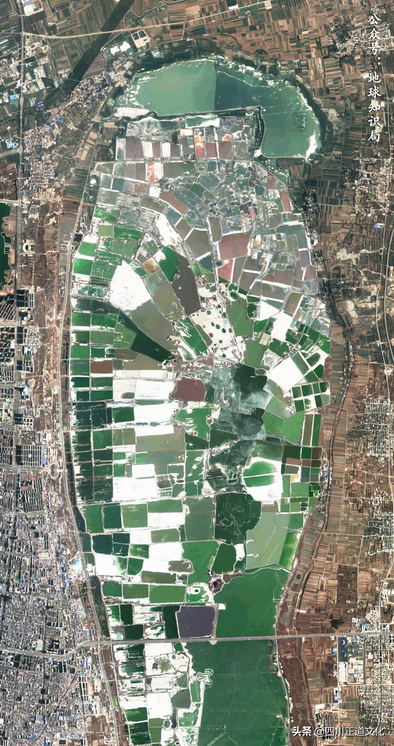 青海到底有多厉害,青海到底有多好