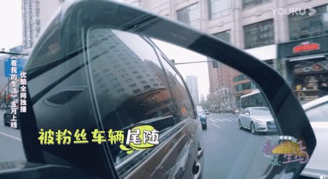 ‘家不能回’‘父母逼婚’‘躲不开的脏水’独居明星的真实生活