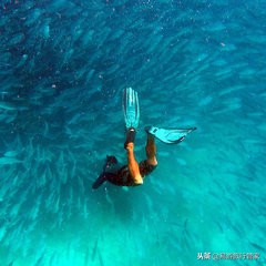 沙巴亚庇和仙本那的区别,沙巴经典必游10个景点